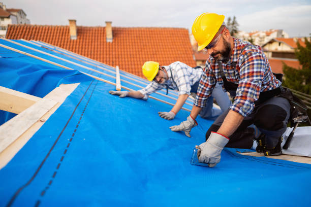 Best Gutter Installation and Roofing  in Folsom, NJ